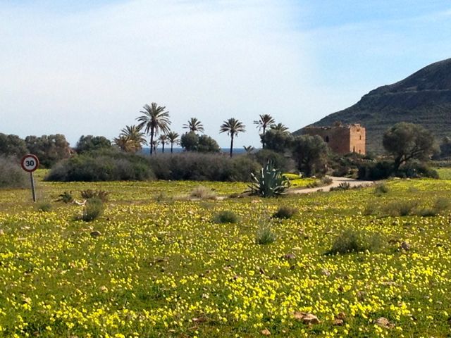 cabo de gata3