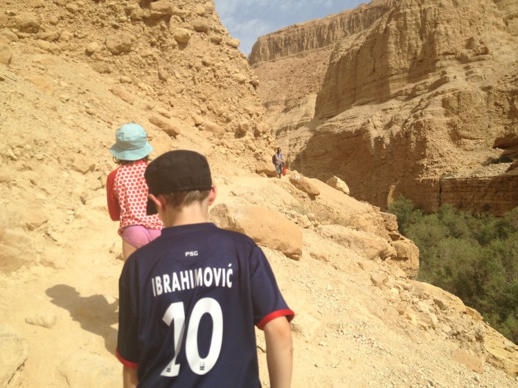 Exploring Ein Gedi desert and the Dead Sea (The lowest point on Earth)