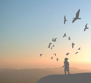 The sky is the limit