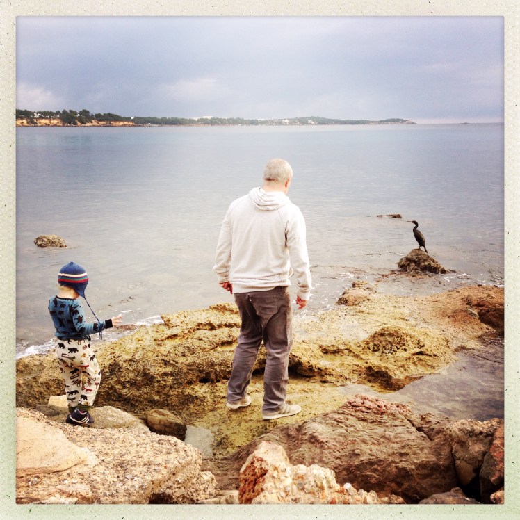 Coastal walk with our local cormorant